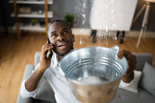 Best Basement water damage restoration  in Gering, NE