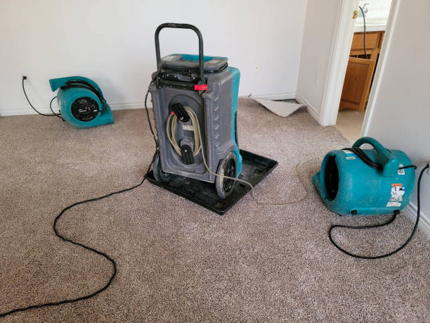 Best 24/7 water damage repair  in Gering, NE