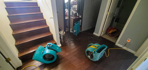 Best Ceiling water damage repair  in Gering, NE