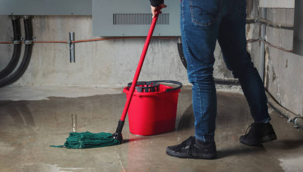 Best Water damage cleanup near me  in Gering, NE