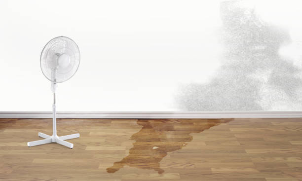 Best Basement water damage restoration  in Gering, NE