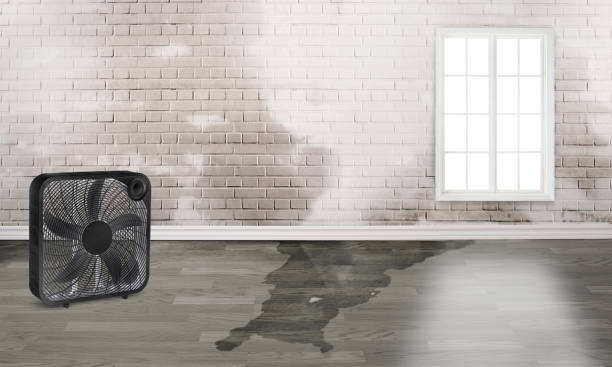 Best Emergency water damage restoration  in Gering, NE